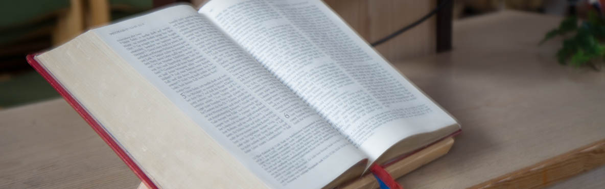Bibel Bibel