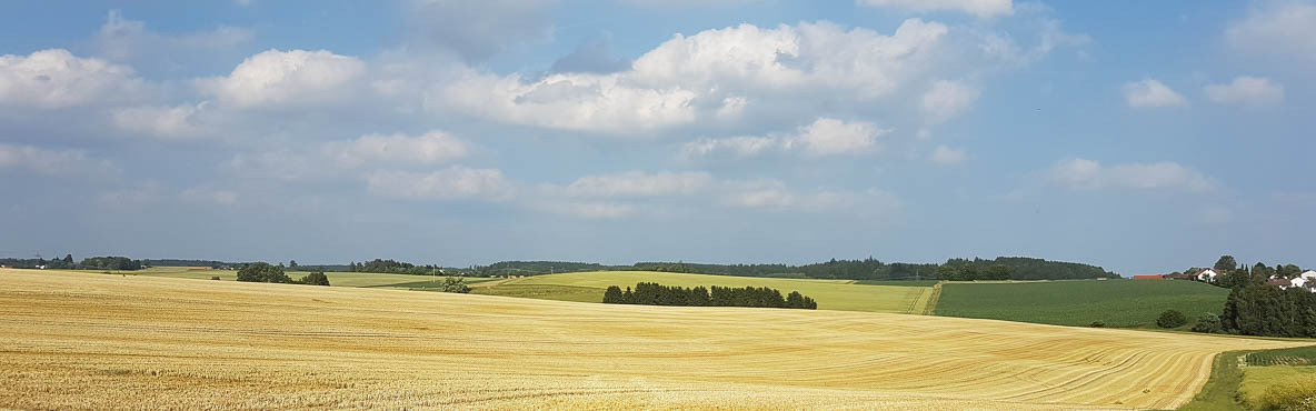 Landschaft