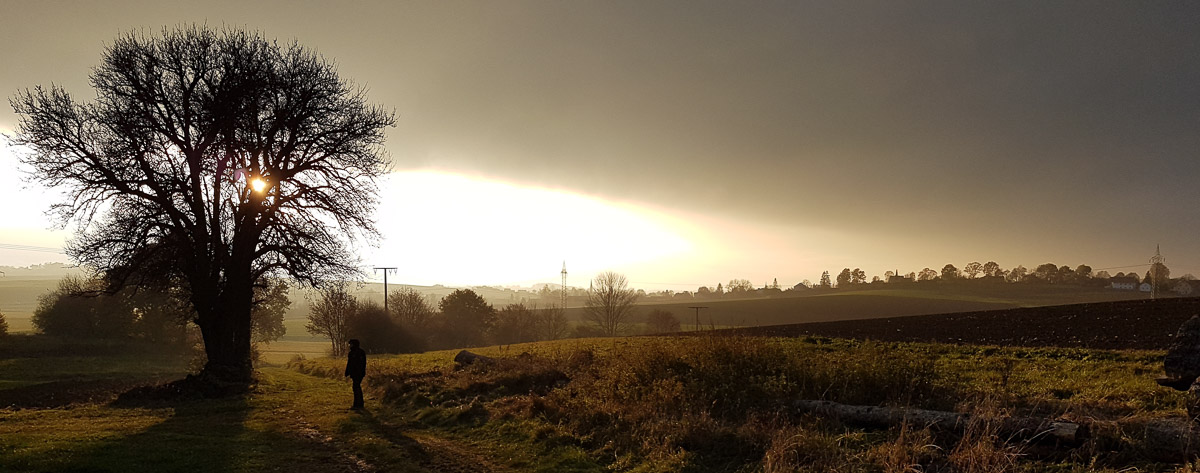 dramatische Wetterstimmung mit Herbstbaum im Vordergrund