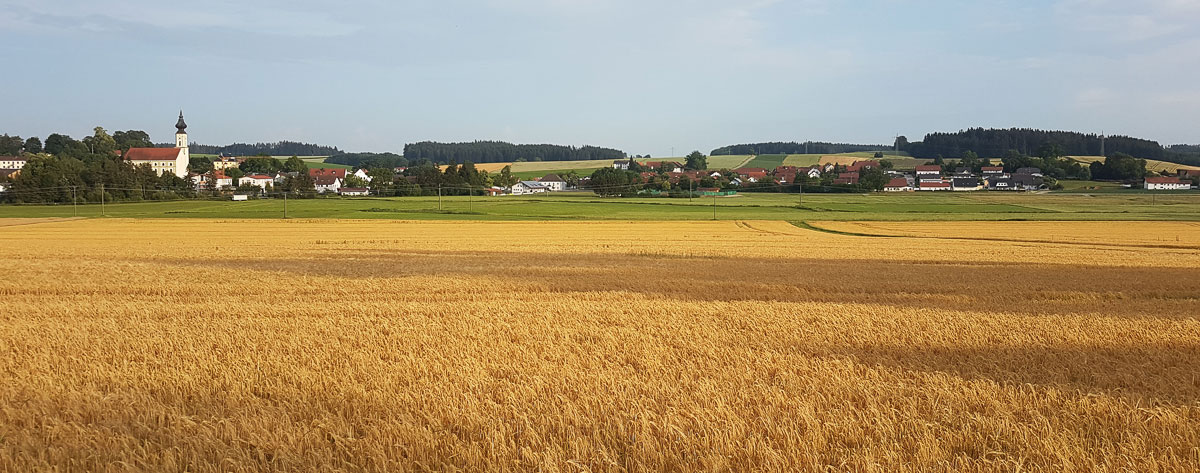 Kornfeld mit Dorf
