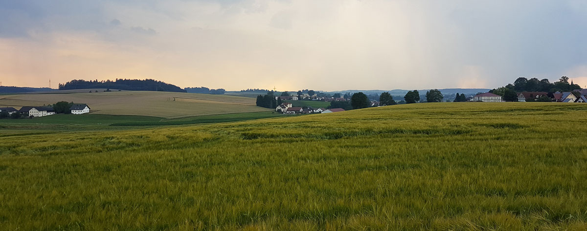 grüne Landschaft