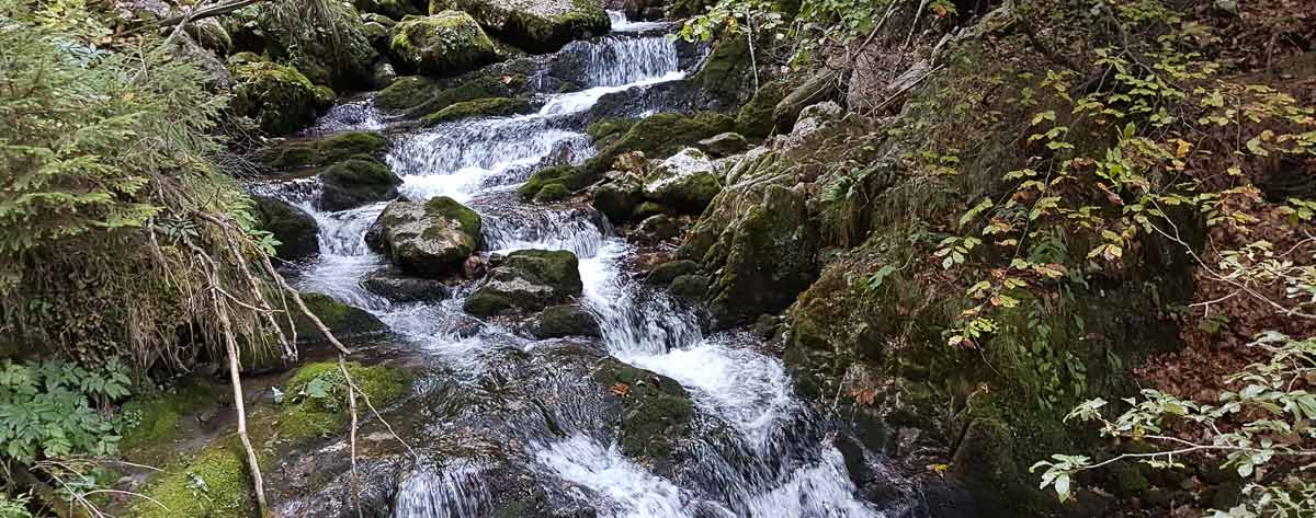 Wasserfall